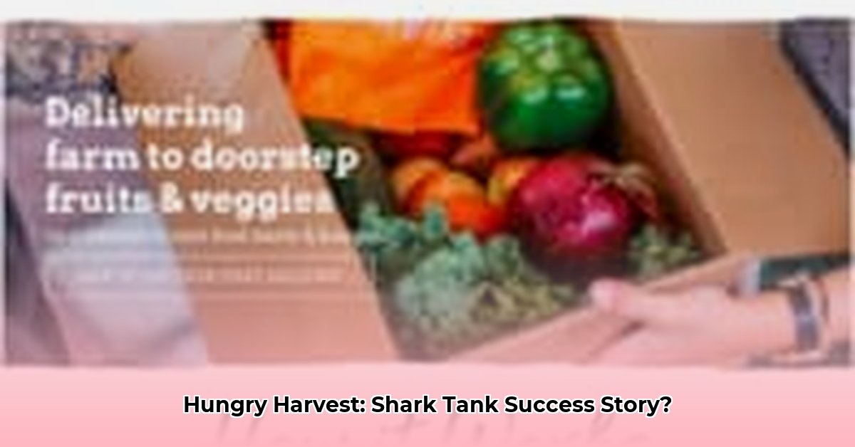 hungry-harvest-net-worth